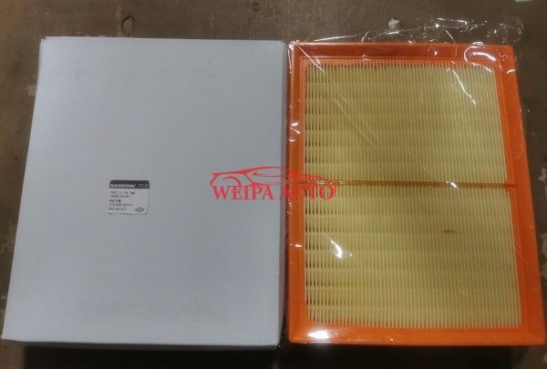 OEM 165462ZG0B+A201 dongfeng Nissan rich air filter